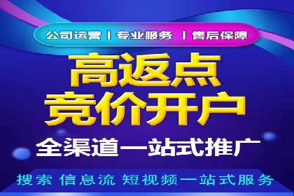 某电商平台的SEM推广策略全解析
