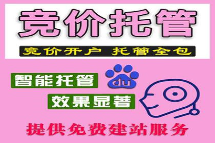 竞价广告的转化率提升方法：XX企业的成功经验